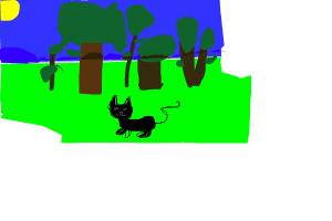 cat in forest