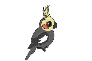 Cockatiel Chibi