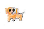 Cute pet