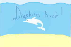 DOLPHINS ROCK!