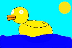 duck