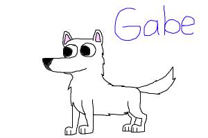 Gabe The Dog