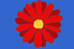 Gerbra daisy