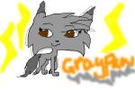 Graypaw from ssswarriorcats