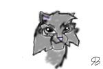 graystripe from warriors