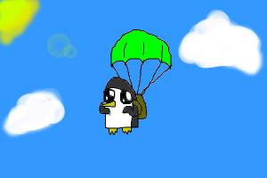 Gunter Parachute
