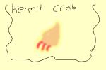 Hermit Crab. :)