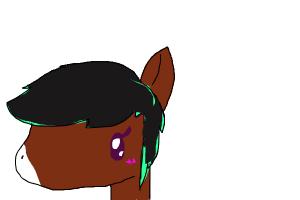 Horse Pony idk