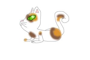 how 2 draw a cat