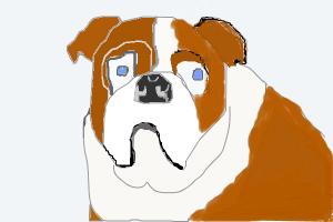 how to draw a cool bulldog