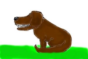 How to draw a dog.