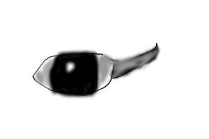 how to draw a female arctic wolf eye
