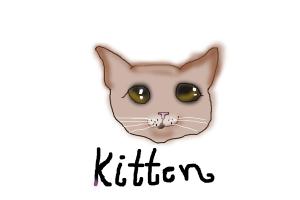 how to draw a kitten