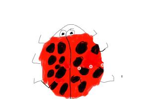 how to draw a lady bug