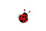 how to draw a lady bug