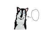 how to draw a male husky