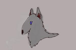 How To Draw A Wolf Head