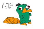 how to draw Perry plat.