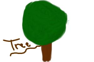 how to draw tree