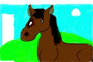 intermediet drawings(horse)
