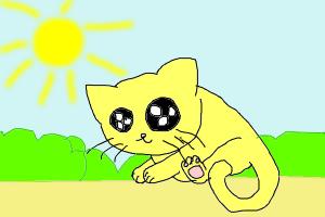 kitty in the sun