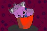 Kiya in a bucket