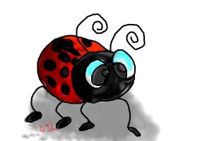 Ladybug drawing