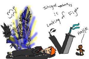 me vs ichigo:me win!!!