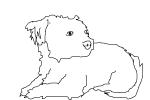 my dog!