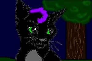 Nightpaw of Dawnfire clan