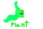 plant