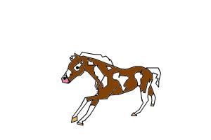 running throbred stallion
