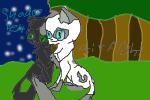Shadoepelt and Airflight