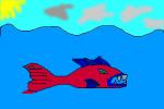 shark?????????
