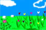 sheep
