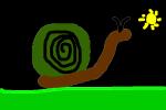 snail