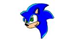 Sonic the hedgehog