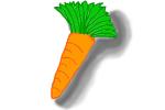 the carrot