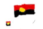 the flag of aboriginal