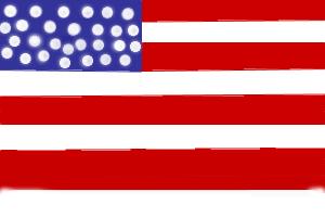 The USA Flag