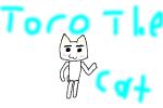 Toro the cat
