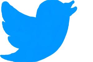 Twitter Logo