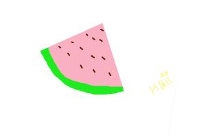 Watermelone 1st drawing dun judge