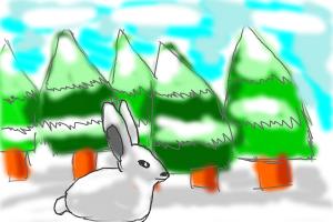 Winter Rabbit