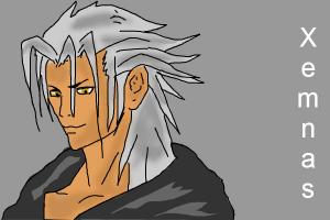 Xemnas for swcalvert3