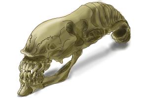 Xenomorph's skull (from Alien movies)
