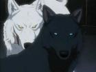Dark and Light wolf pack