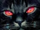 Blackclan