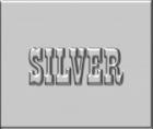 the Silvers