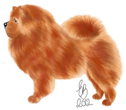 chowchow_small